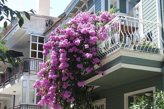 Tour image 9