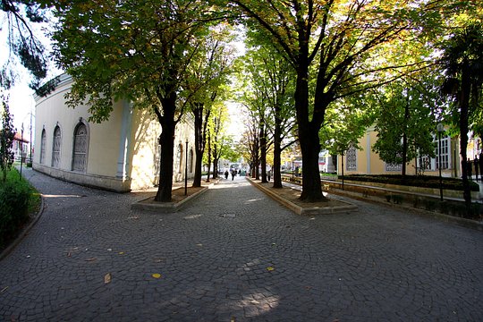 Tour image 8
